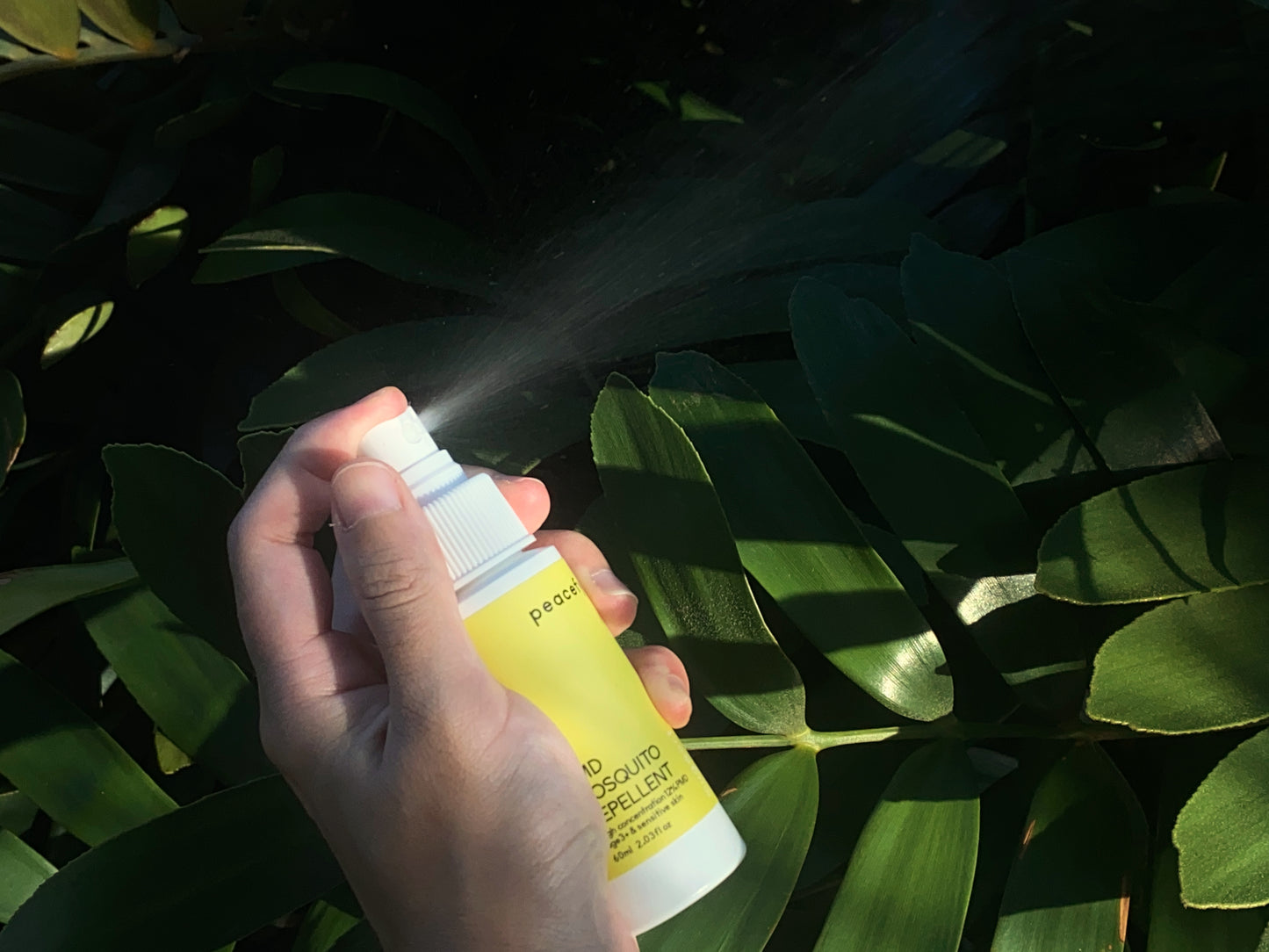 📿 遶境安心組