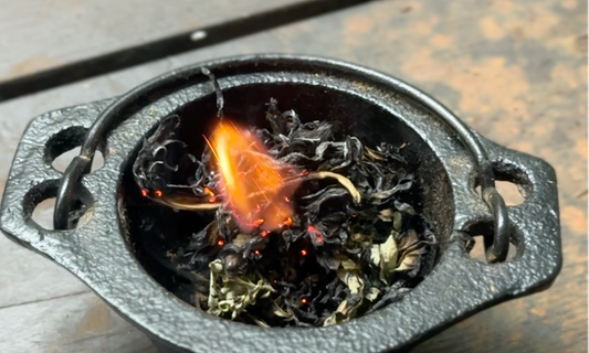 農曆七月為什麼用艾草？從掛艾避邪到現代空間淨化的完整解析