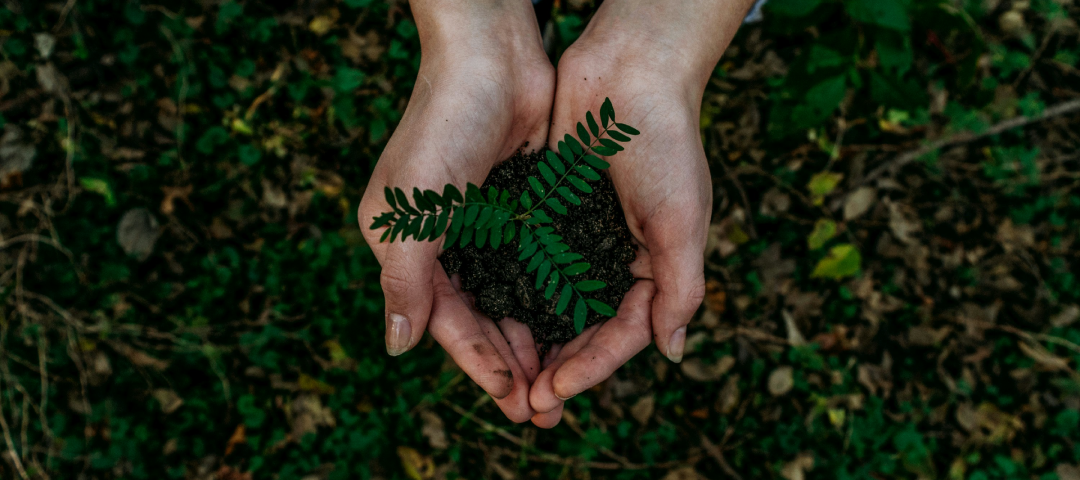 永續生活：讓美好日子走得更長遠