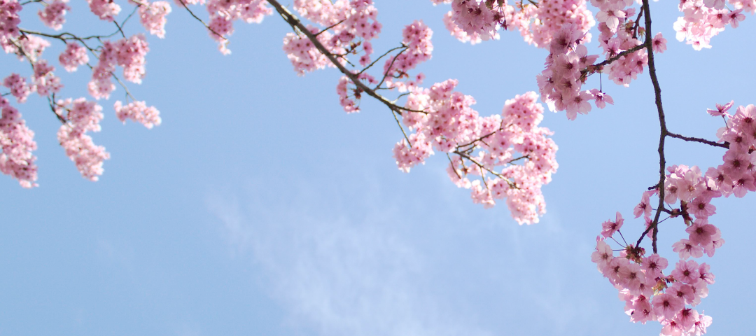 節氣永續：跟著自然生活，讓永續從日常開始