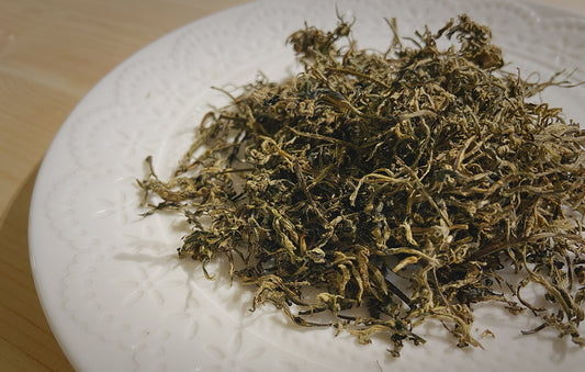 艾草的氣味是什麼？三種香氣類型與它們在家居空間的意義