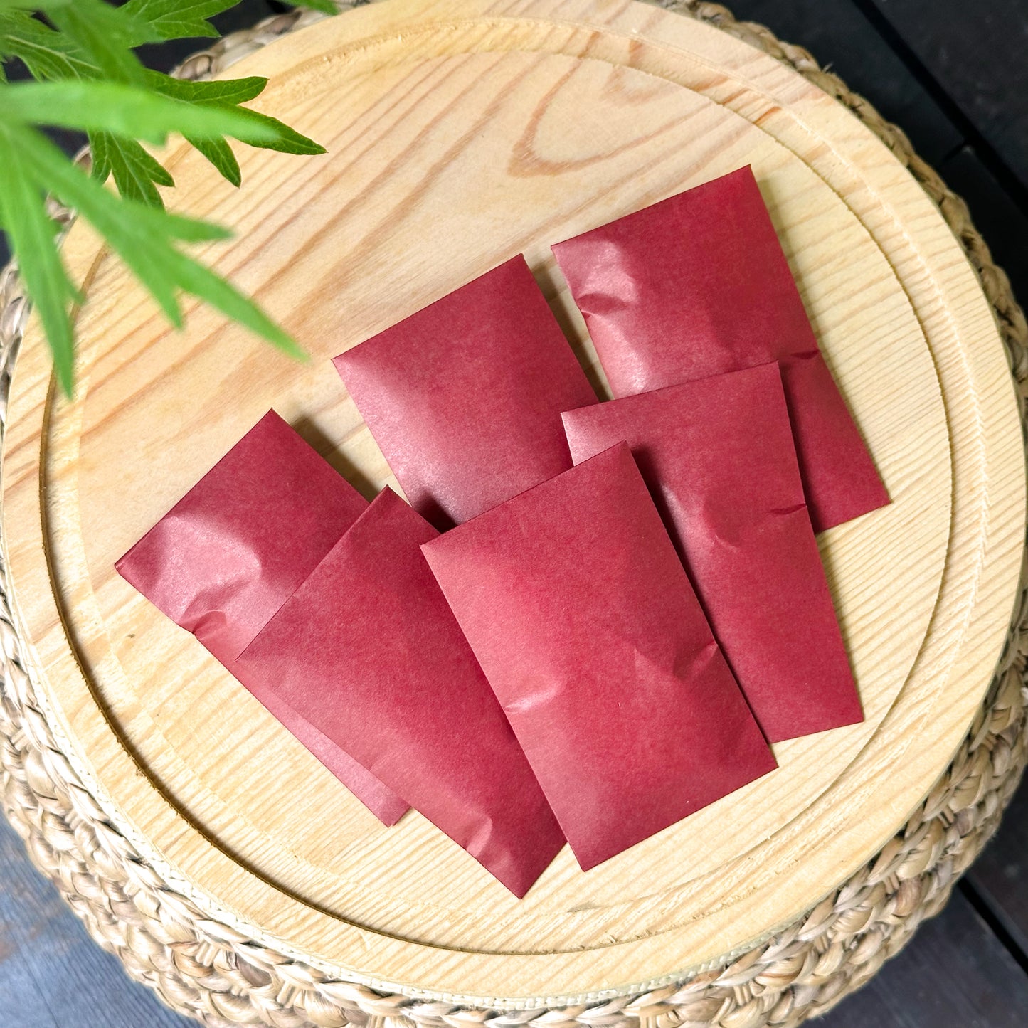 🐉 高級大人頂配組