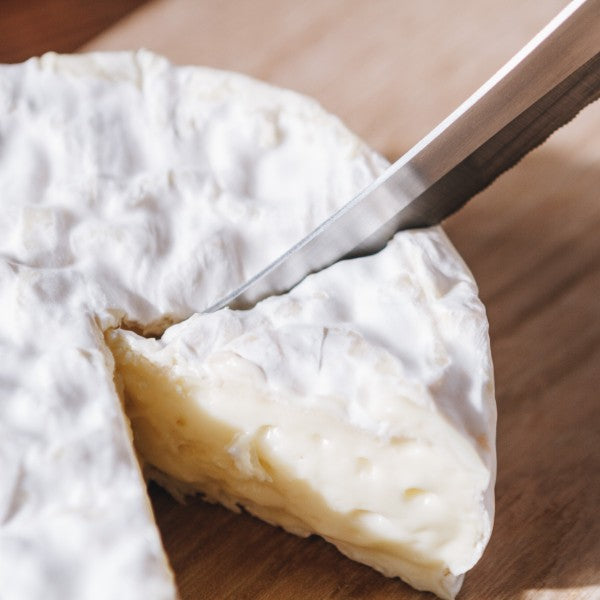 ㊕ morinoki｜軟起司刀（志津匠）